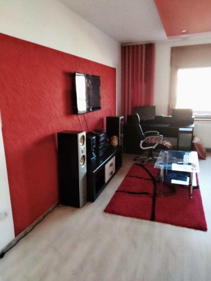 Apartament Cu Terasa La Casa Tina Temesvár Kültér fotó