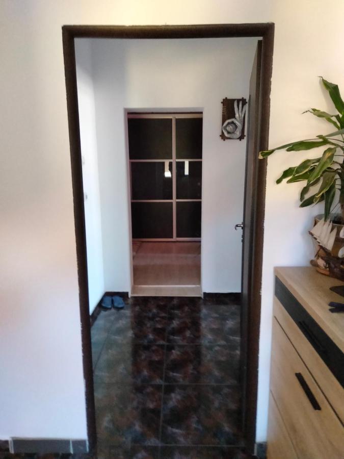 Apartament Cu Terasa La Casa Tina Temesvár Kültér fotó