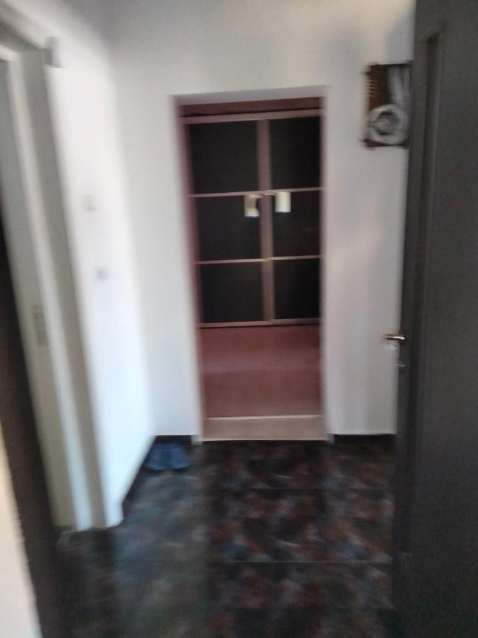 Apartament Cu Terasa La Casa Tina Temesvár Kültér fotó