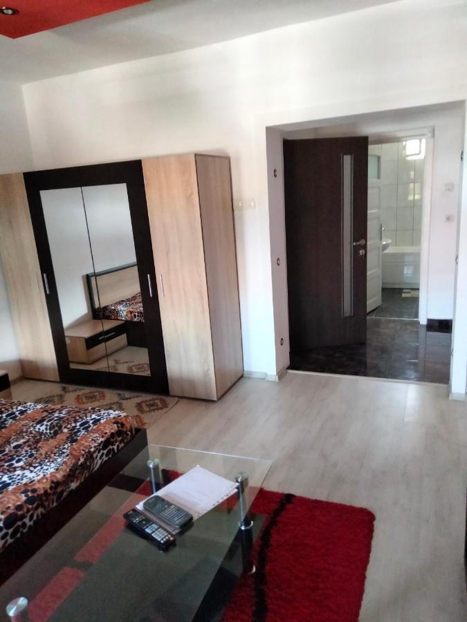 Apartament Cu Terasa La Casa Tina Temesvár Kültér fotó