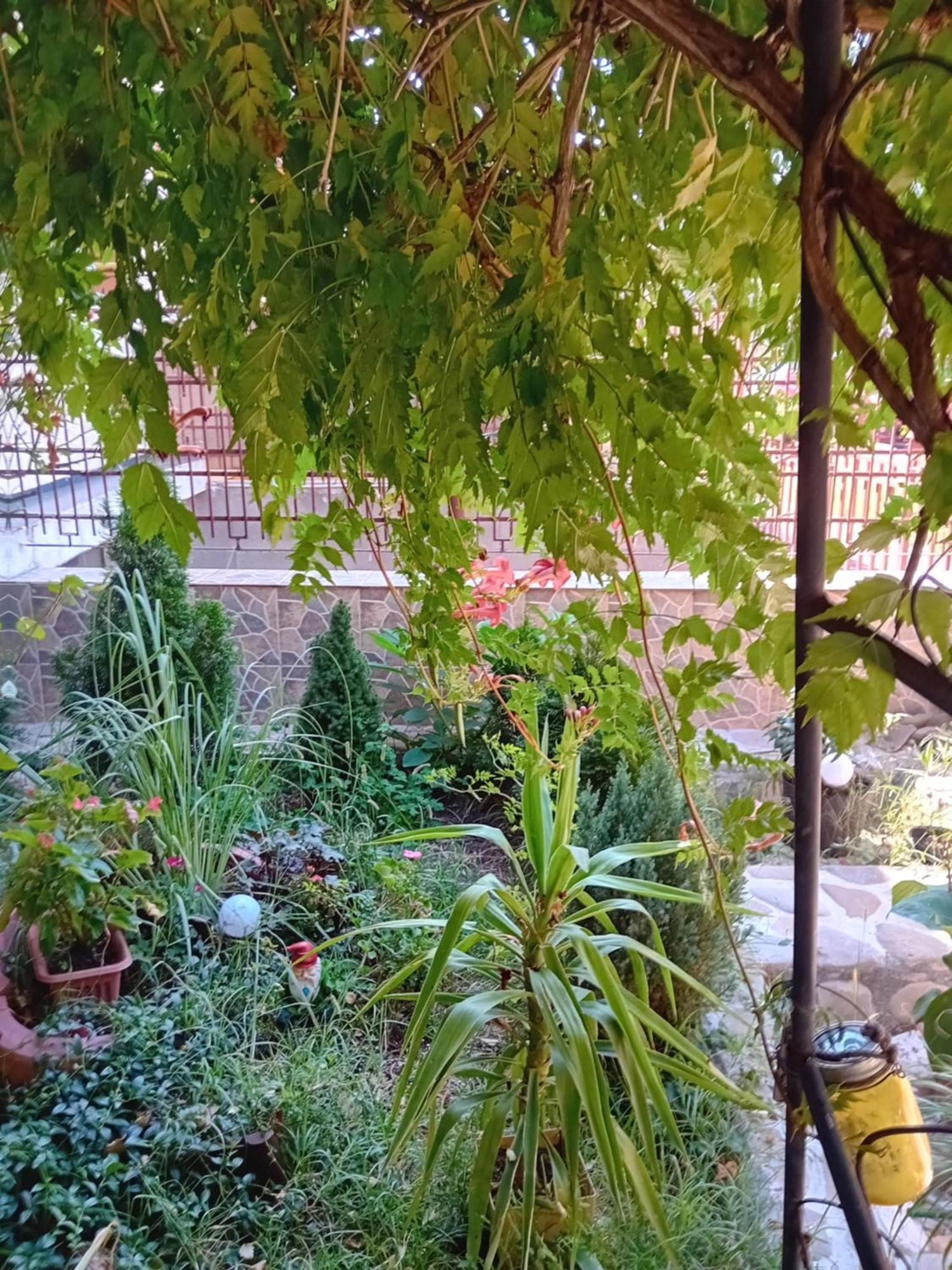 Apartament Cu Terasa La Casa Tina Temesvár Kültér fotó